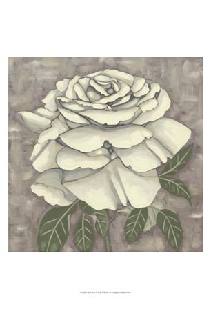 Silver Rose II by Chariklia Zarris art print