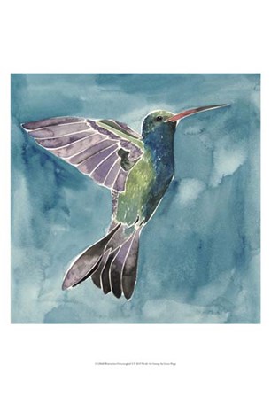 Watercolor Hummingbird I by Grace Popp art print