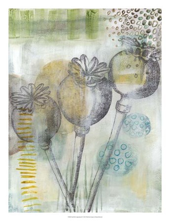 Seed Pod Composition II by Naomi McCavitt art print