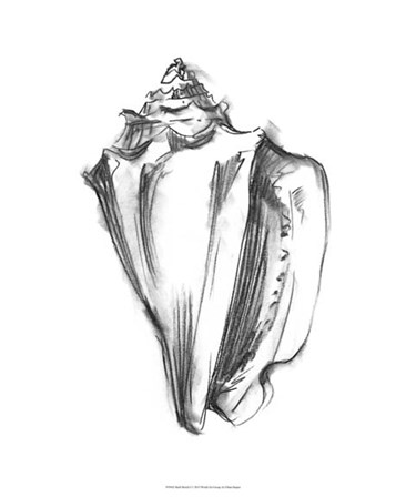 Shell Sketch I by Ethan Harper art print