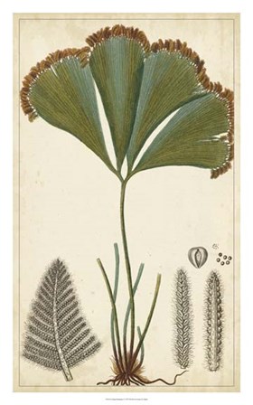 Foliage Botanique I by Pierre Jean Francois Turpin art print