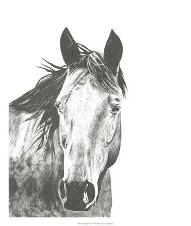 Wildlife Snapshot: Horse I by Naomi McCavitt art print