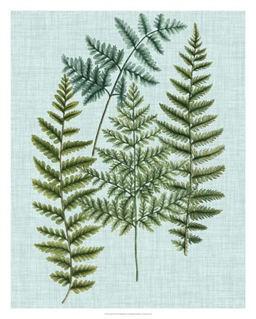 Spa Ferns II by Joseph Weinmann art print