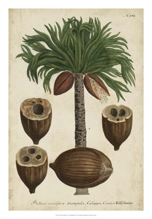 Vintage Tropicals I by Joseph Weinmann art print