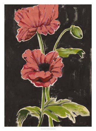 Haloed Poppies I by Grace Popp art print