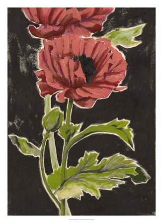 Haloed Poppies II by Grace Popp art print