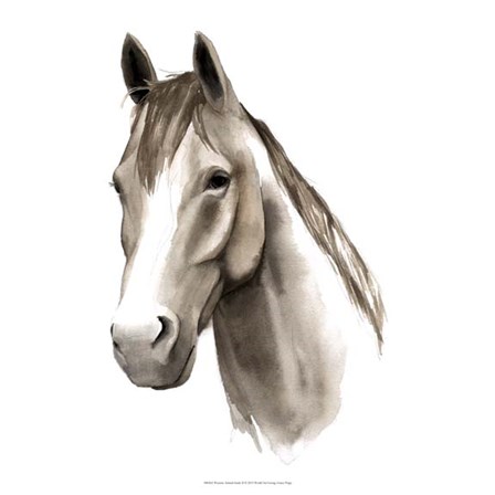 Western Animal Study II by Grace Popp art print