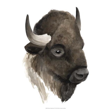 Western Animal Study IV by Grace Popp art print