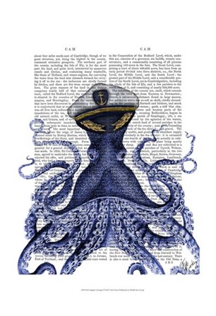 Captain Octopus by Fab Funky art print