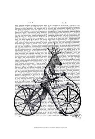 Dandy Deer on Vintage Bicycle by Fab Funky art print