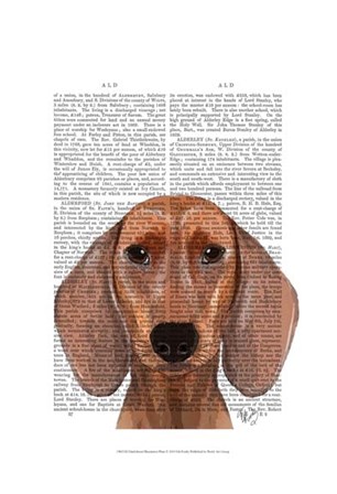 Dachshund Illustration Plain by Fab Funky art print