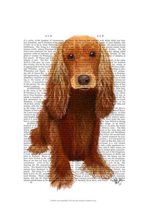 Cocker Spaniel Plain by Fab Funky art print