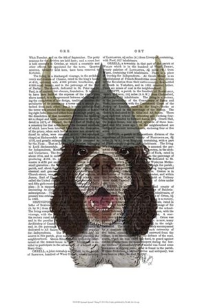 Springer Spaniel Viking by Fab Funky art print