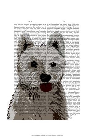 West Highland Terrier Plain by Fab Funky art print