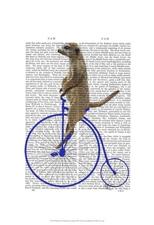 Meerkat On Blue Penny Farthing by Fab Funky art print