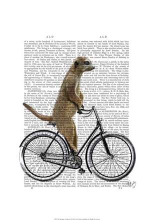 Meerkat on Bicycle by Fab Funky art print