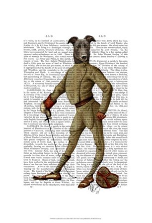 Greyhound Fencer Dark Full by Fab Funky art print