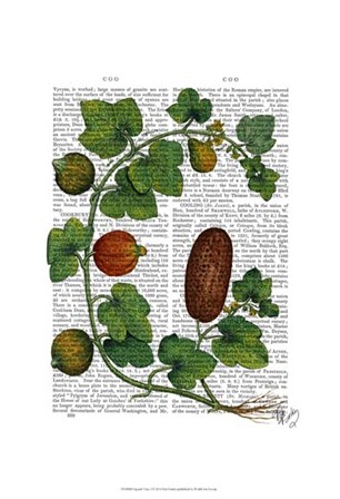 Squash Vine 3 by Fab Funky art print