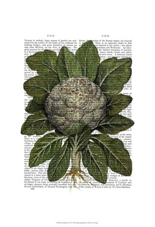 Cauliflower by Fab Funky art print