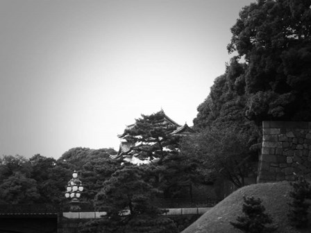 Tokyo Imperial Palace by Naxart art print