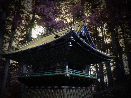 Nikko Architectural Detail by Naxart art print