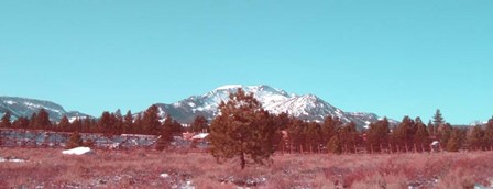 Mammoth Mountain by Naxart art print