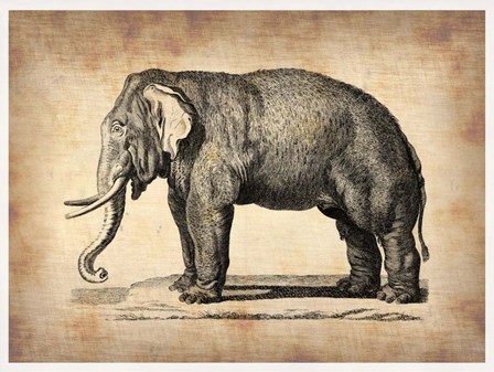 Vintage Elephant by Irina March Naxart Studio art print