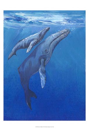 Under Sea Whales I by Timothy O&#39;Toole art print