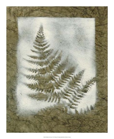 Shadows &amp; Ferns II by Renee Stramel art print