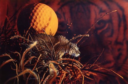 Tiger In The Woods by Gordon Semmens art print