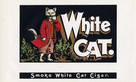 White Cat by Art of the Cigar art print