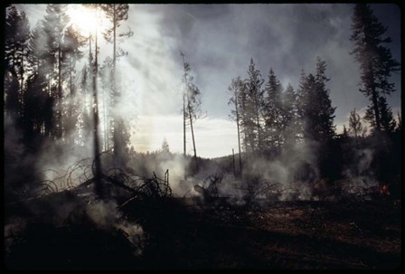 Granite Fire II by American Eyes art print
