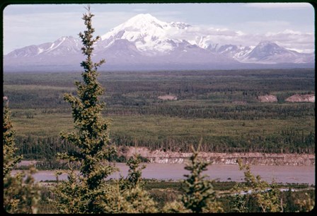 Mt Drum by American Eyes art print
