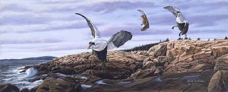 Acadia Visitors by Bruce Dumas art print