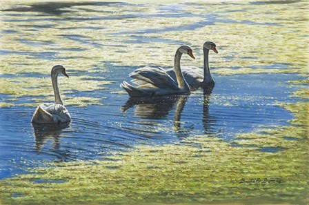 Three&#39;s Company by Bruce Dumas art print
