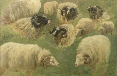 Black-Faced Ram and Sheep, 10 studies by Rosa Bonheur art print