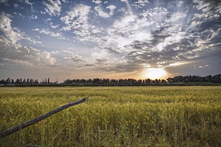 End of Day by Giuseppe Torre art print