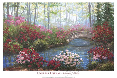 Cypress Dream by Miles Schaefer art print