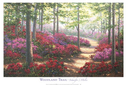 Woodland Trail by Miles Schaefer art print
