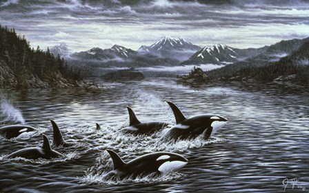 Whales by Jeff Tift art print