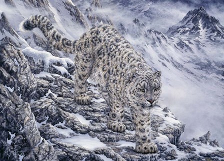 Snow Leopard by Jeff Tift art print