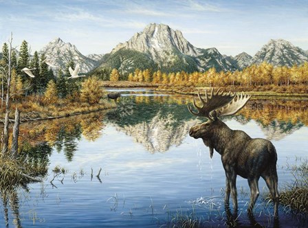 Bull Moose by Jeff Tift art print