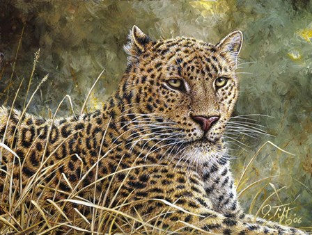 Leopard Portrait by Jeff Tift art print