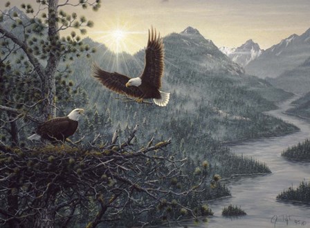 Eagles Nest by Jeff Tift art print