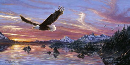 Silent Wings Of Freedom by Jeff Tift art print