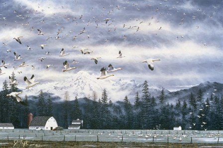 Geese Flying Over Farmland by Jeff Tift art print