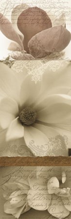 Fantasy Magnolias II art print