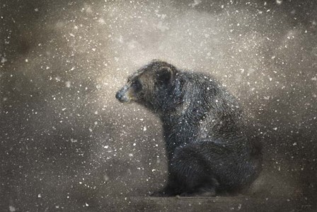 Braving The Storm by Jai Johnson art print