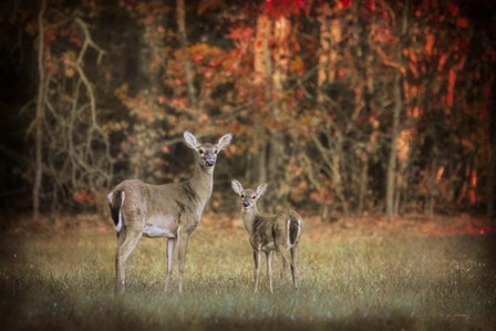 Just After Sunrise by Jai Johnson art print