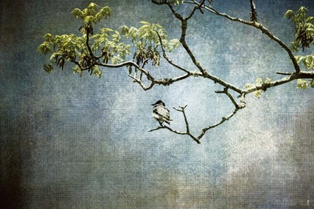 Lucky Bird by Jai Johnson art print